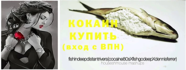 PSILOCYBIN Абаза