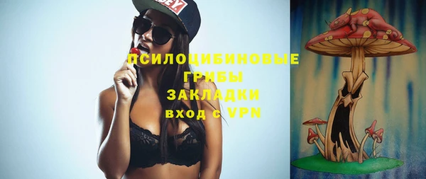 гидропоника Алзамай