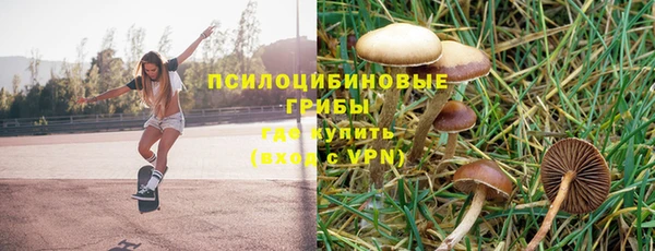 PSILOCYBIN Абаза