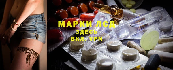 PSILOCYBIN Абаза