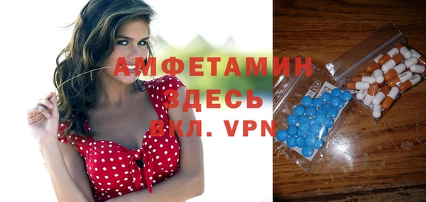 первитин Инсар